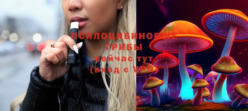 Псилоцибиновые грибы MAGIC MUSHROOMS  Бородино 